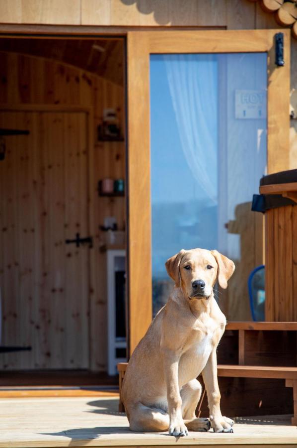 Villa Barnhorn Glamping Hooe Esterno foto